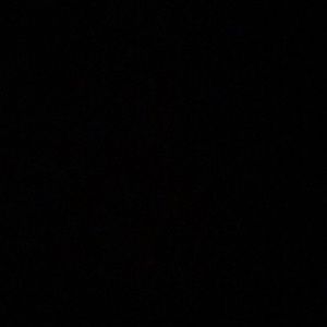 Meet your Posher, Cheyenne